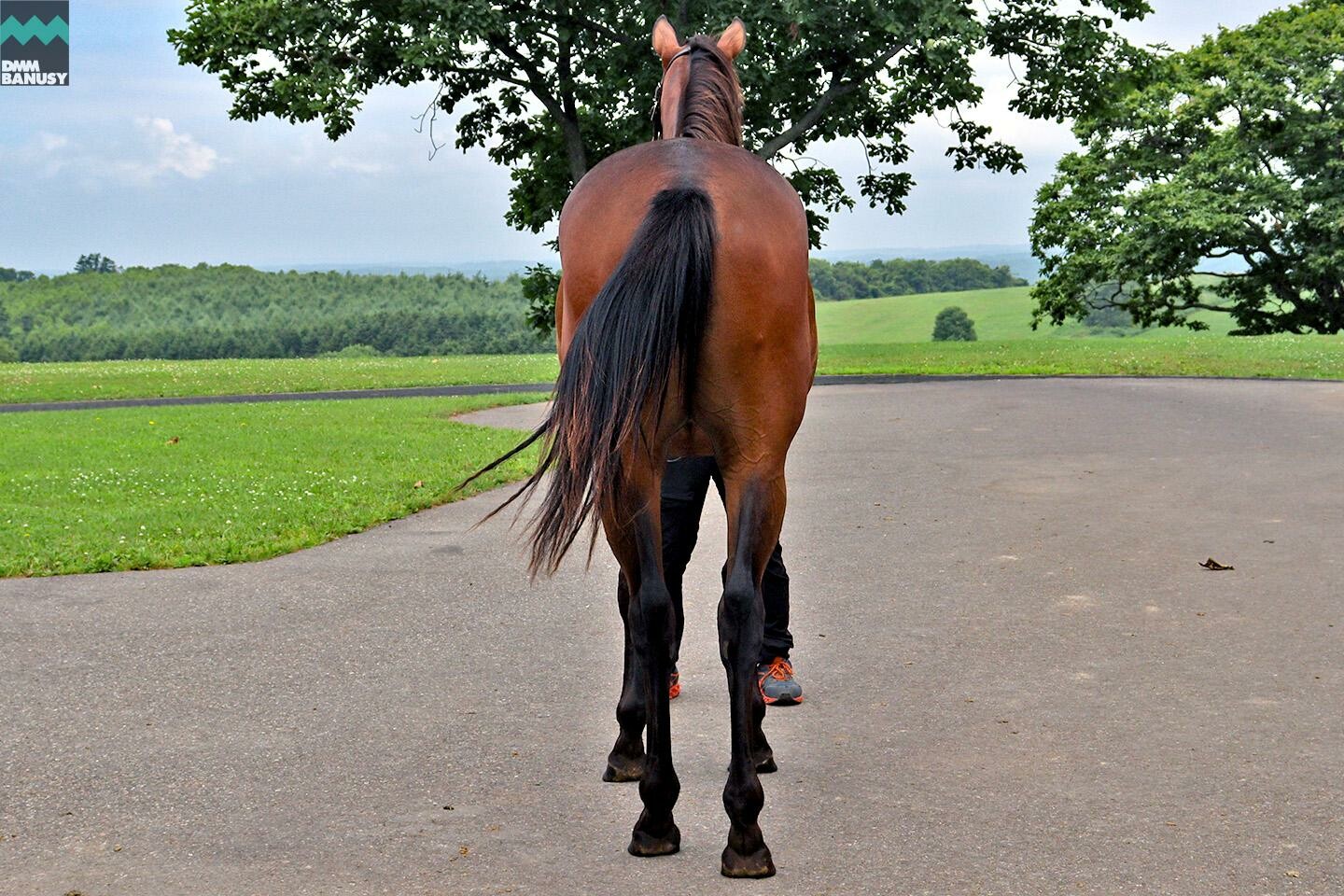 アイワナアイドル 馬体フォト 2021/07/24
