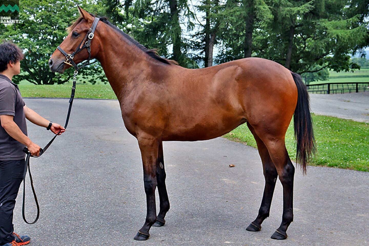 アイワナアイドル 馬体フォト 2021/07/24