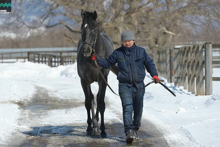 オグリクロノス 馬体フォト 2018/03/07