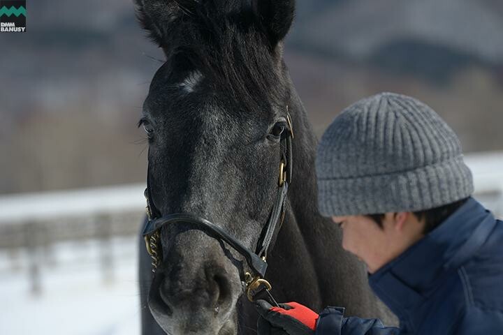 オグリクロノス 馬体フォト 2018/03/07