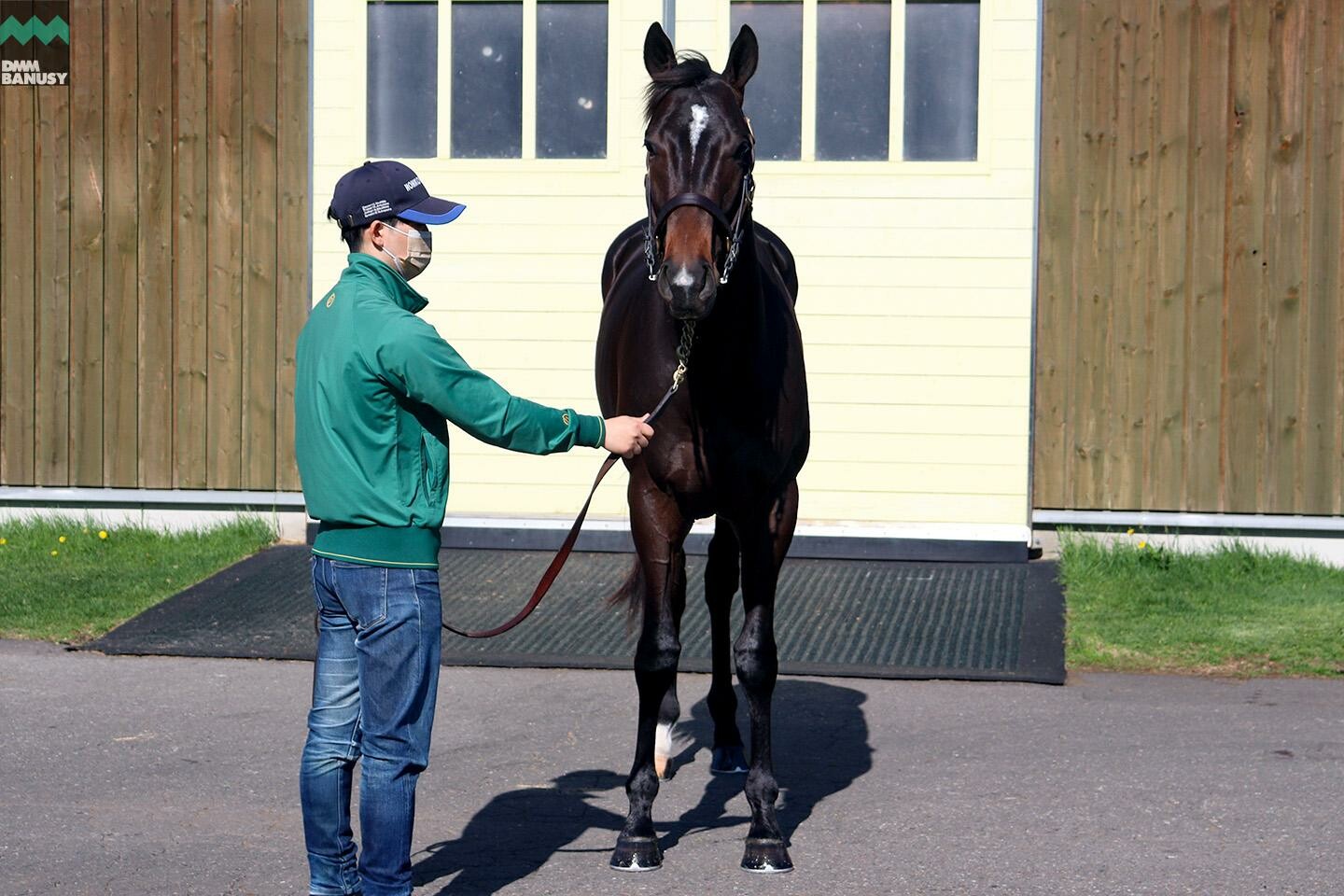 サイレントブラック 馬体フォト 2021/05/20