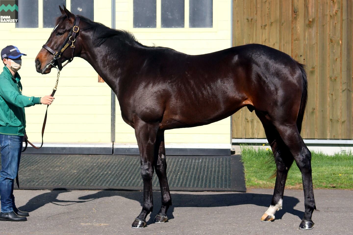 サイレントブラック 馬体フォト 2021/05/20