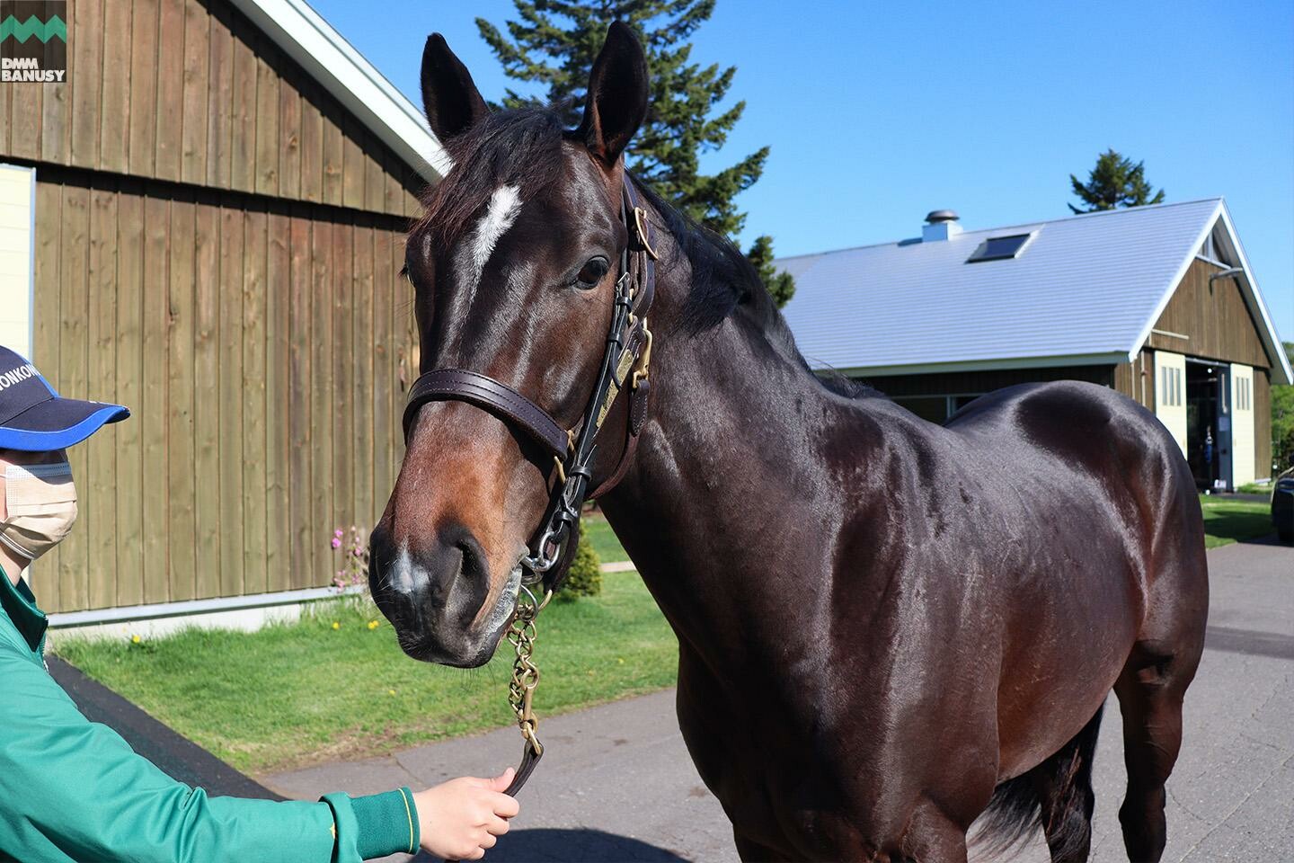 サイレントブラック 馬体フォト 2021/05/20