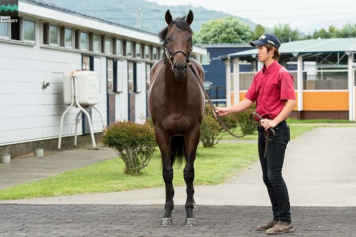 アイスブラスト 馬体フォト 2018/07/27
