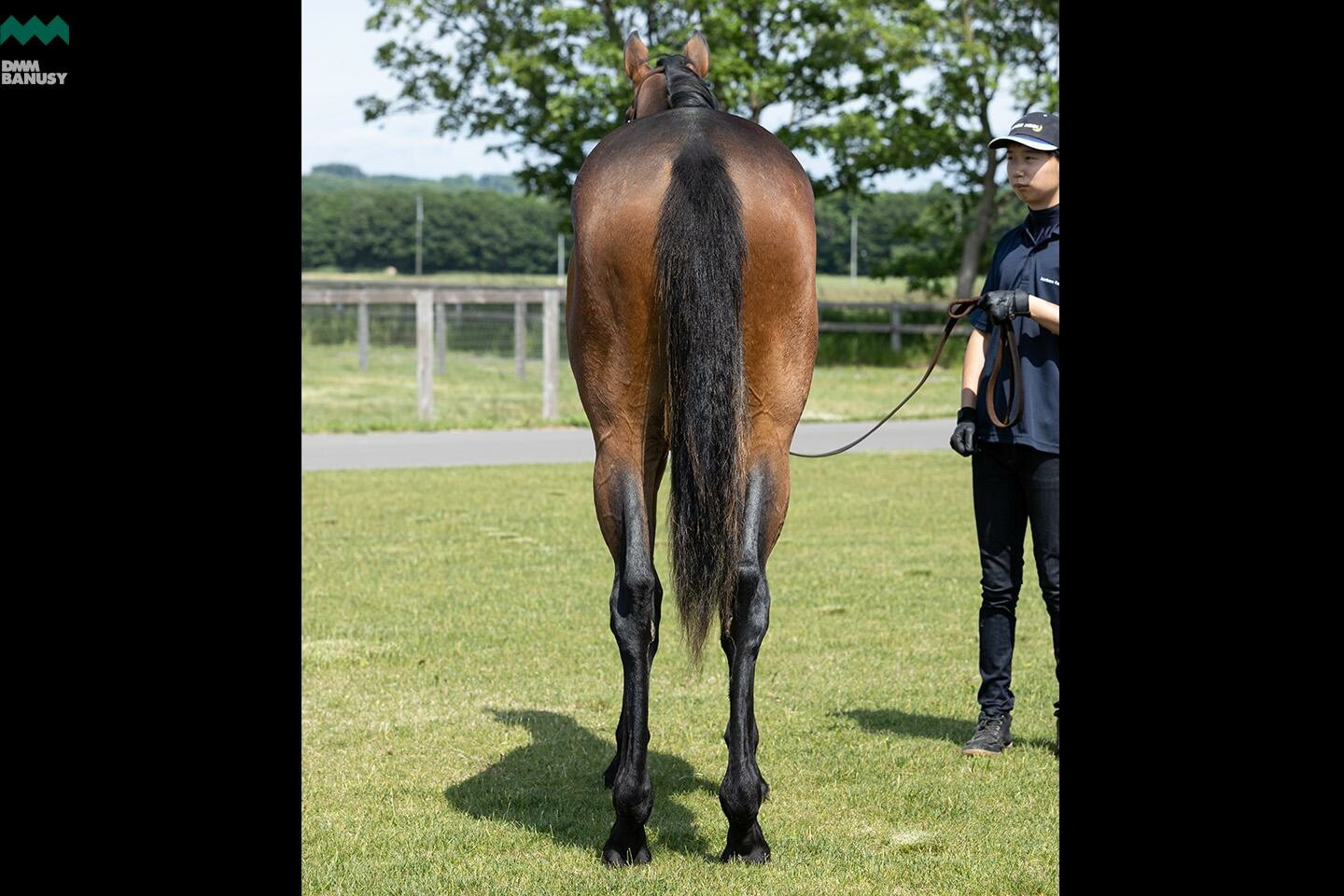 レプリューム 馬体フォト 2020/06/23