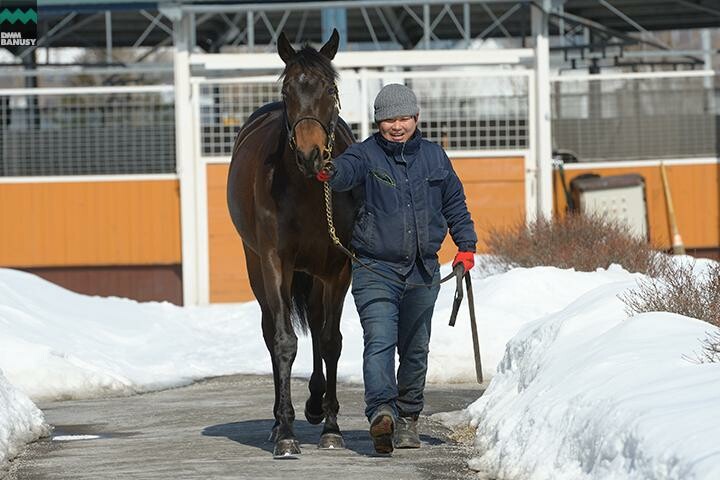 ファイナルドリーム 馬体フォト 2018/03/07