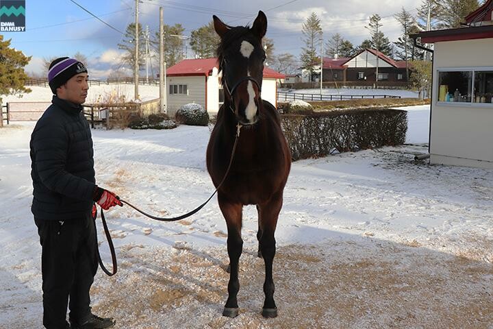 テオファーニア 馬体フォト 2017/12/13