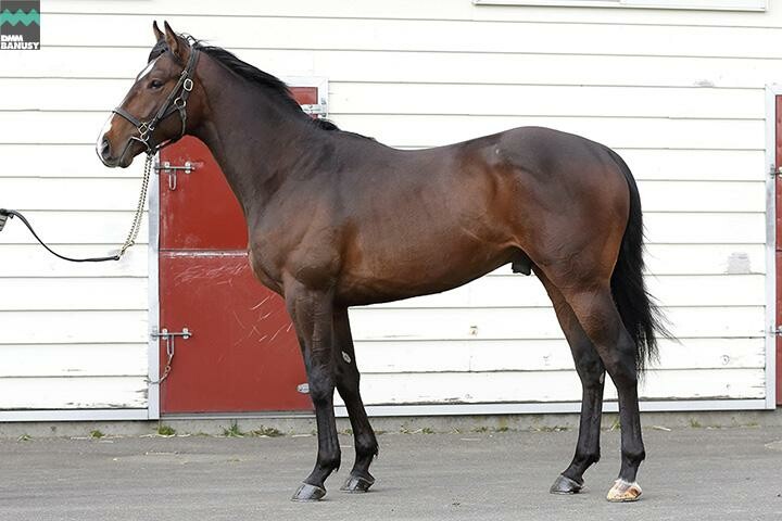 テオファーニア 馬体フォト 2019/03/28