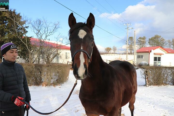 テオファーニア 馬体フォト 2017/12/13