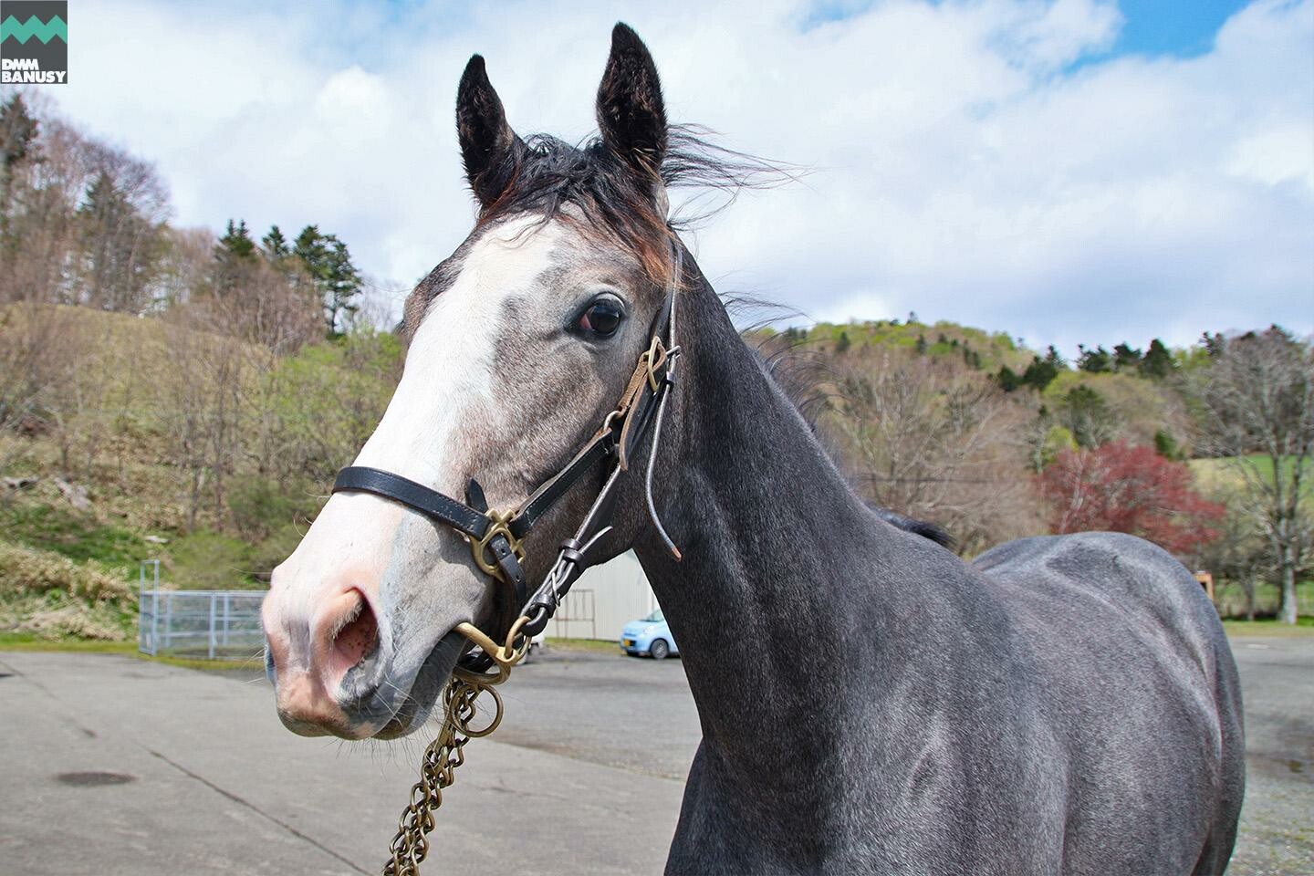 ニコニコルンルン 馬体フォト 2021/05/10