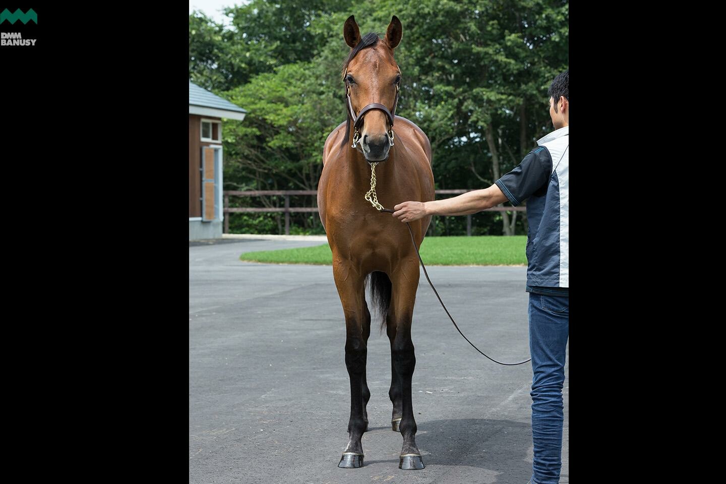 ラヴィエント 馬体フォト 2019/07/30