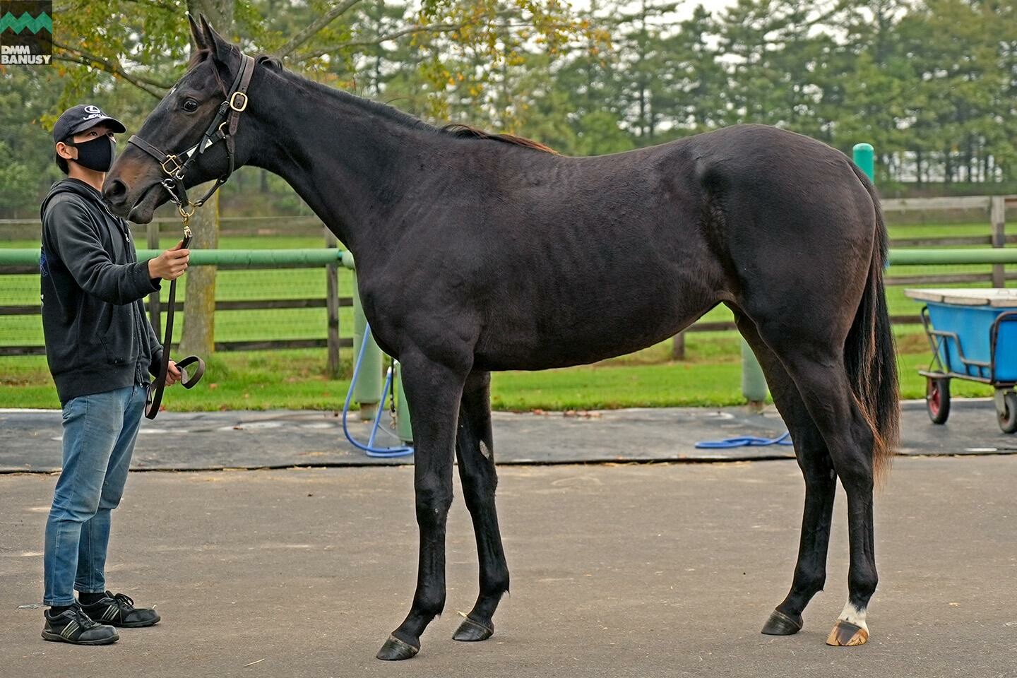 オーヴァルブルーム 馬体フォト 2021/10/04