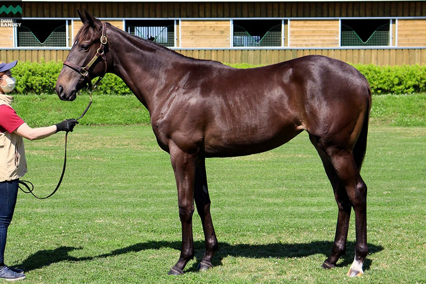 オーヴァルブルーム 馬体フォト 2021/07/14