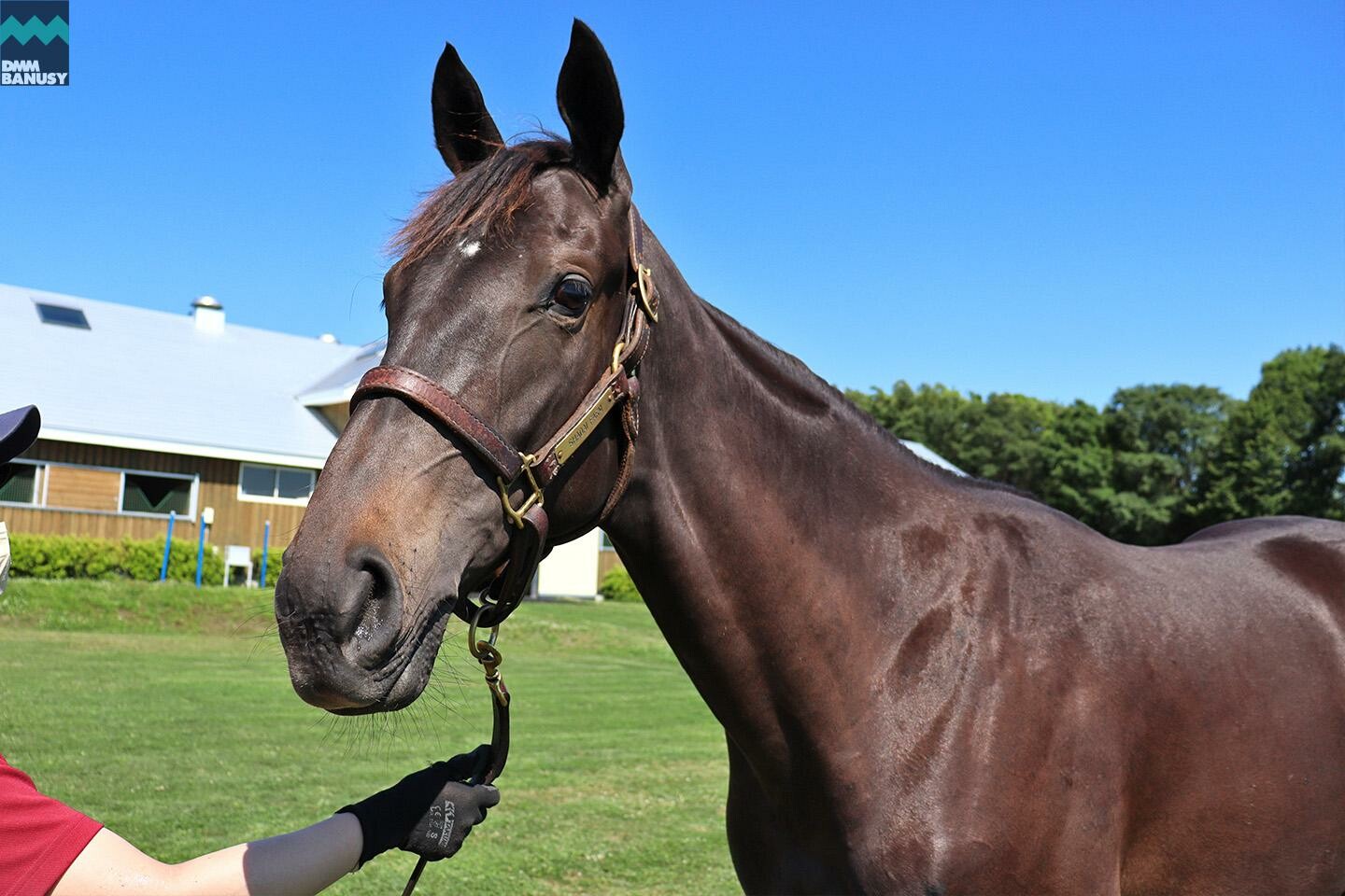 オーヴァルブルーム 馬体フォト 2021/07/14