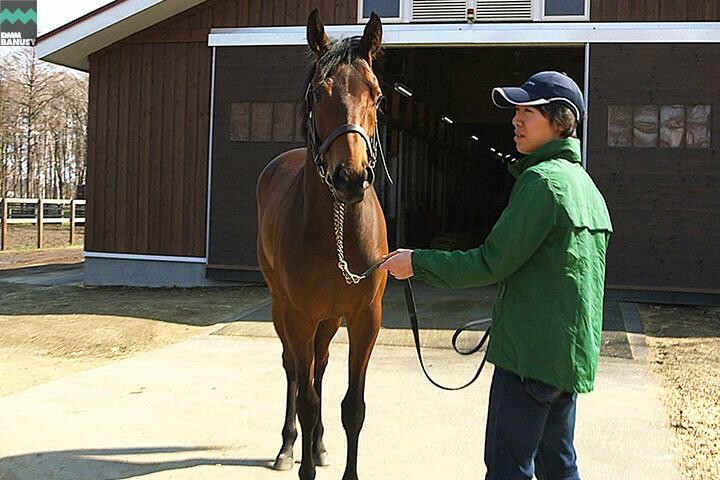 アイワナシーユー 馬体フォト 2017/04/21