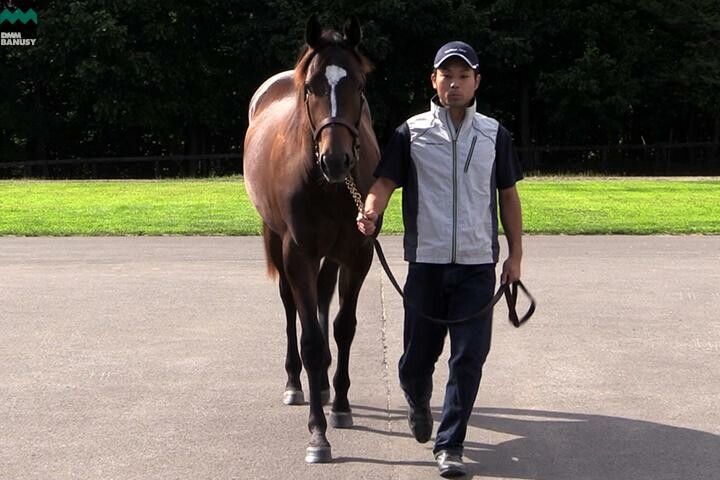 アイワナビリーヴ 馬体フォト 2017/08/26