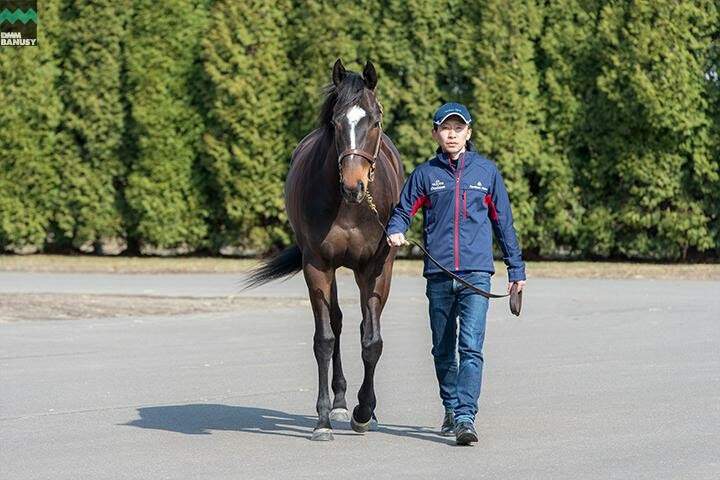 アイワナビリーヴ 馬体フォト 2018/04/10