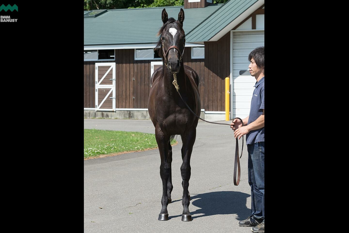 アイワナスマイル 馬体フォト 2019/06/26
