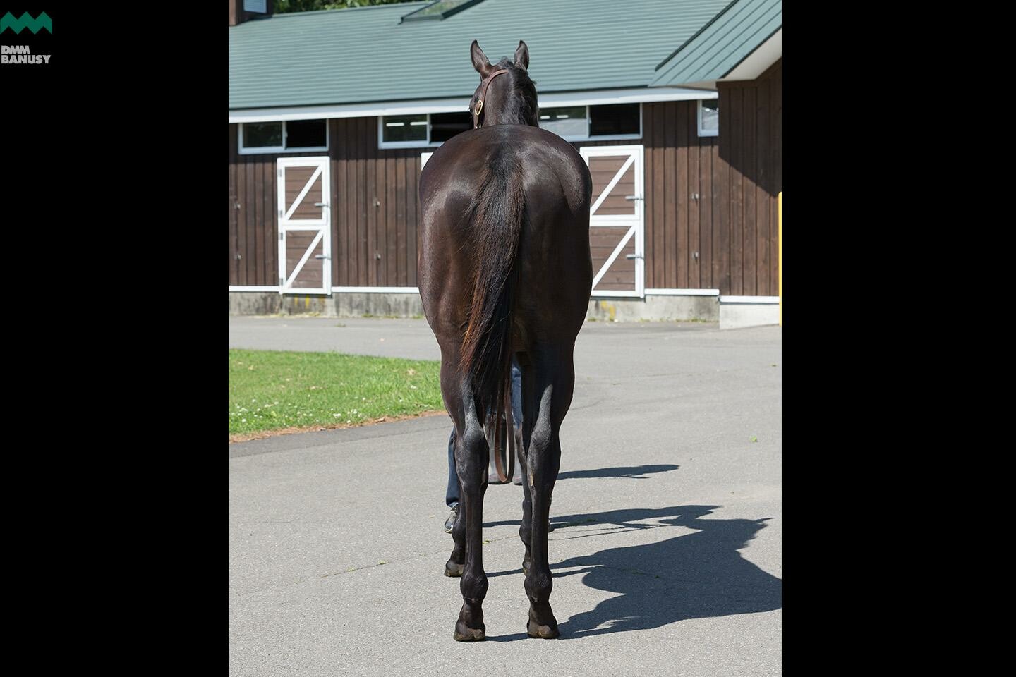 アイワナスマイル 馬体フォト 2019/06/26