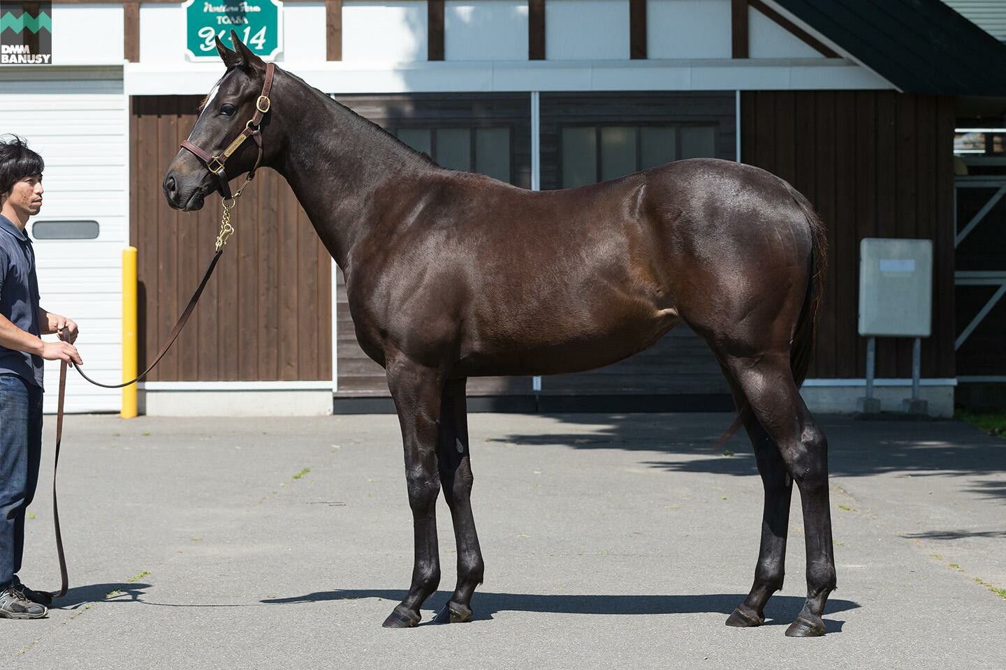 アイワナスマイル 馬体フォト 2019/06/26