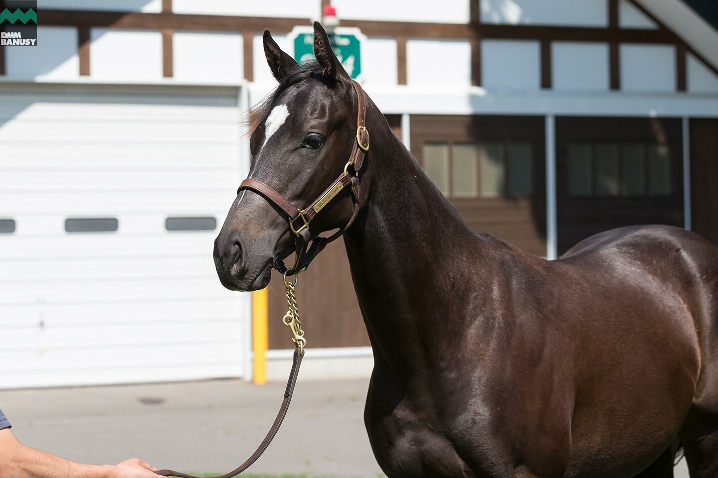 アイワナスマイル 馬体フォト 2019/06/26