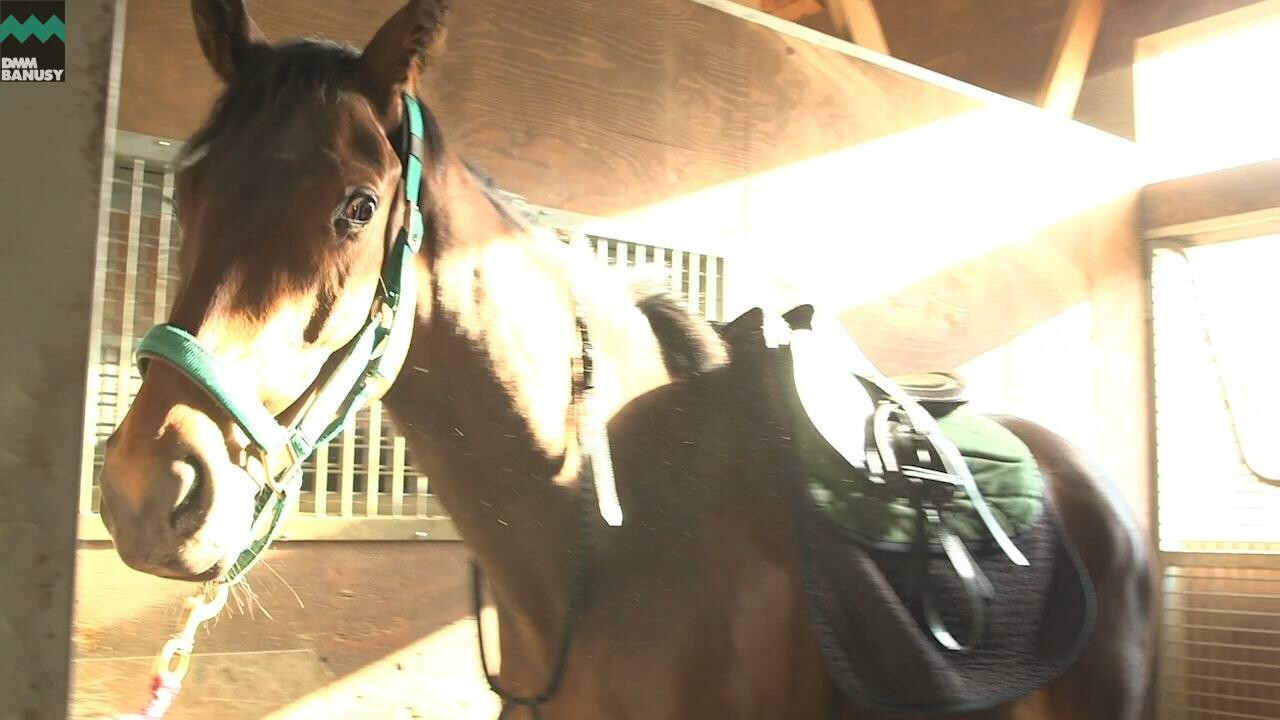 アイワナシーユー PV