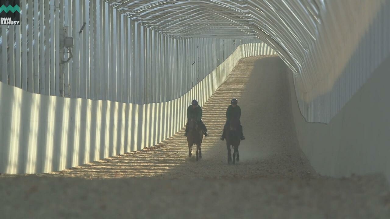 アイワナシーユー 春の調教