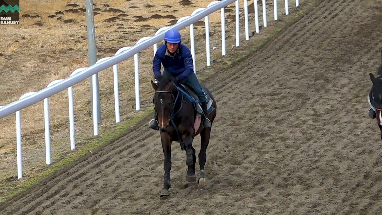 ドリームインパクト デビューまでの道のり