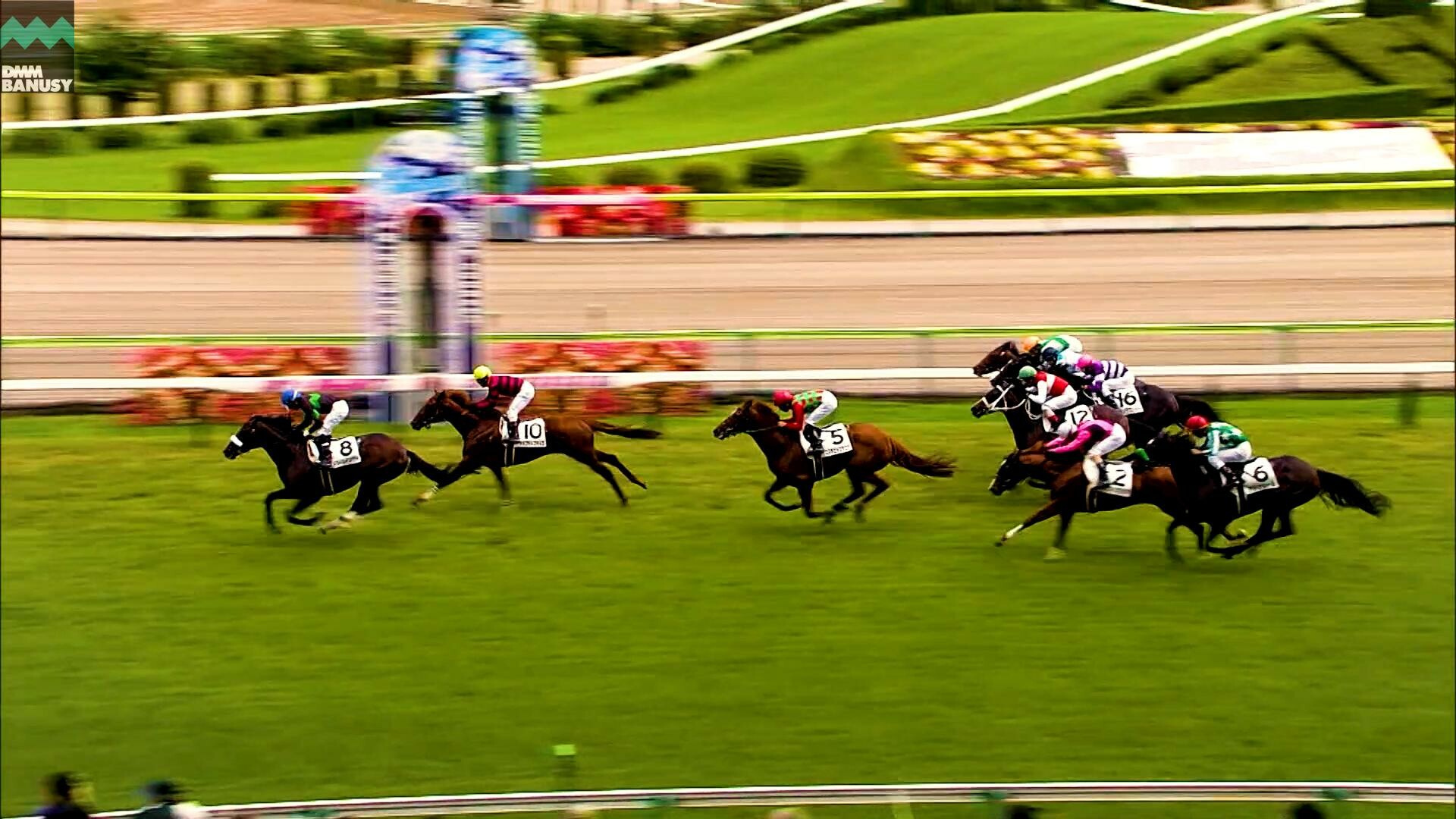 ドリームインパクト 復帰までの道のり