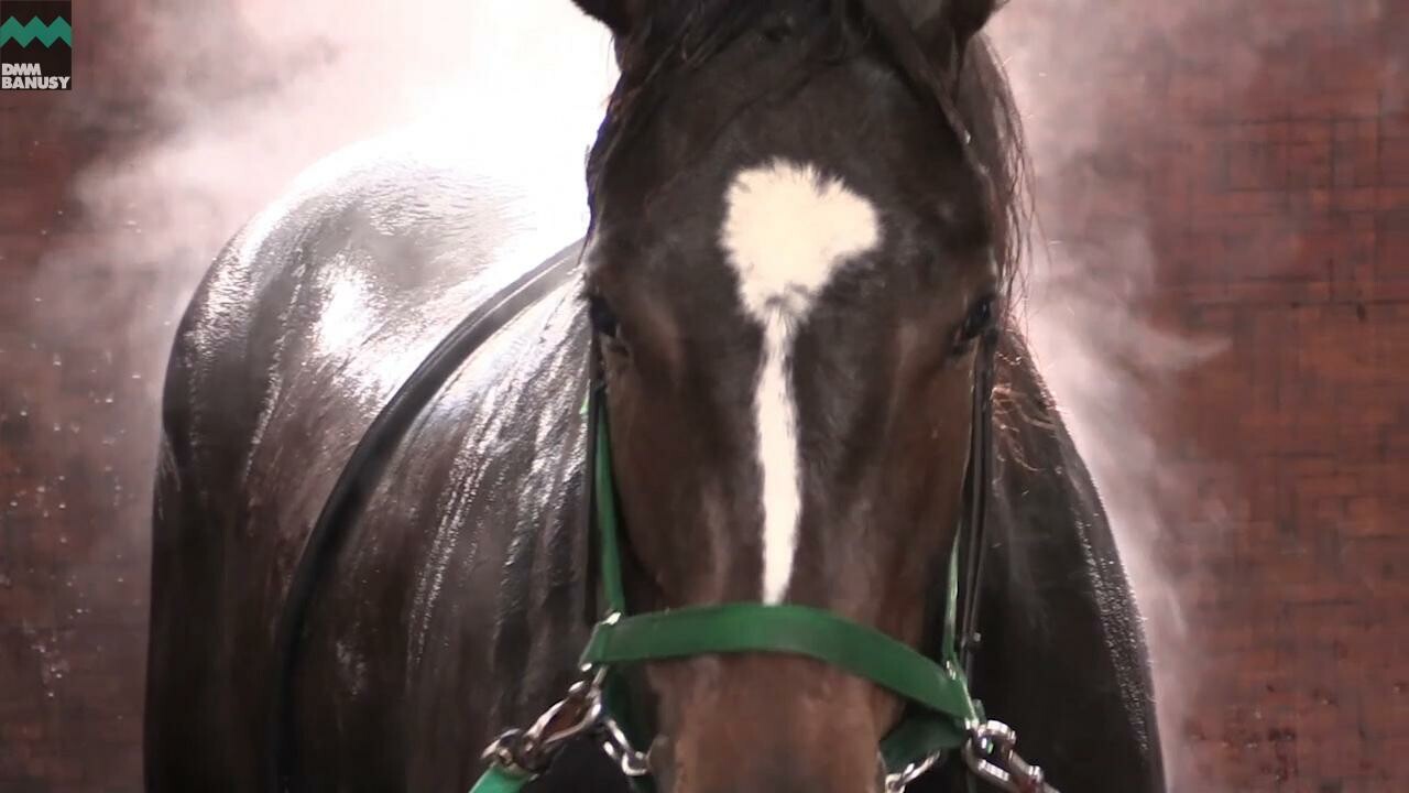 アイワナビリーヴ PV2018