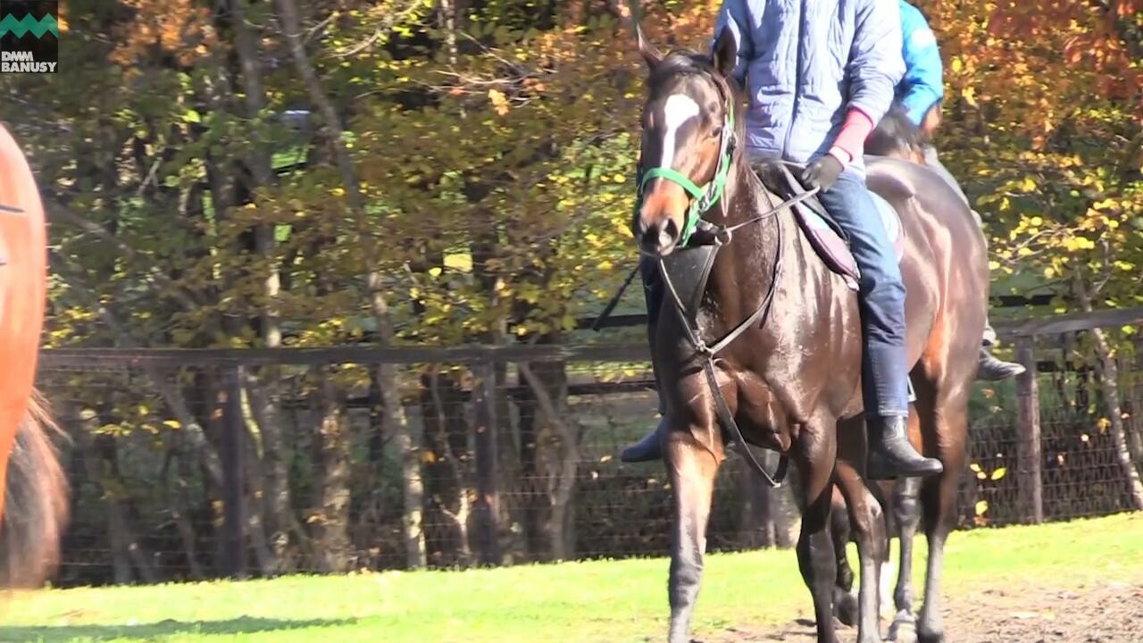 アイワナビリーヴ 育成厩舎での成長