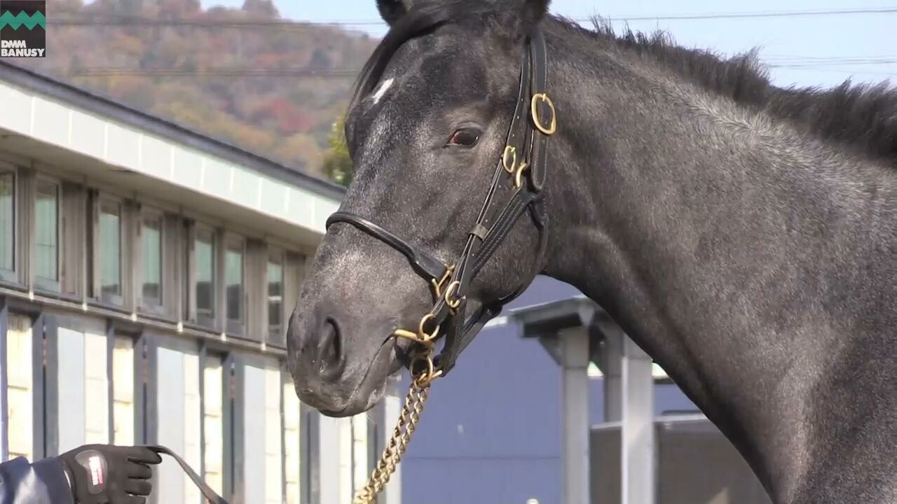 オグリクロノス PV