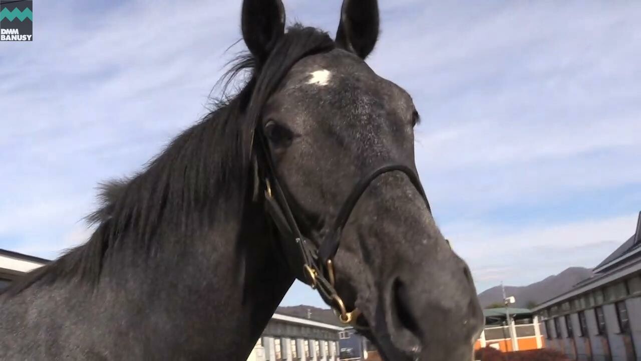 オグリクロノス 育成厩舎での成長