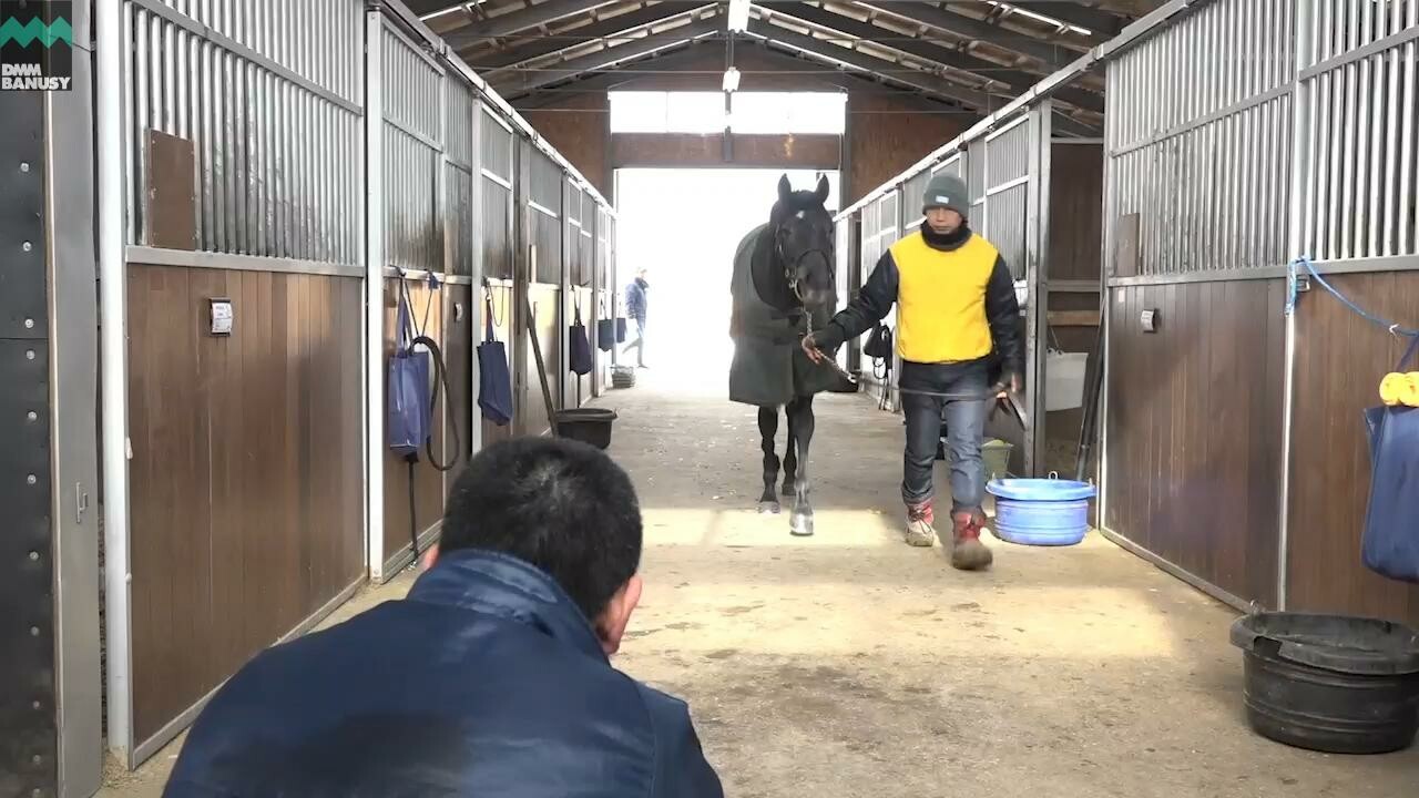 オグリクロノス 初めての装蹄
