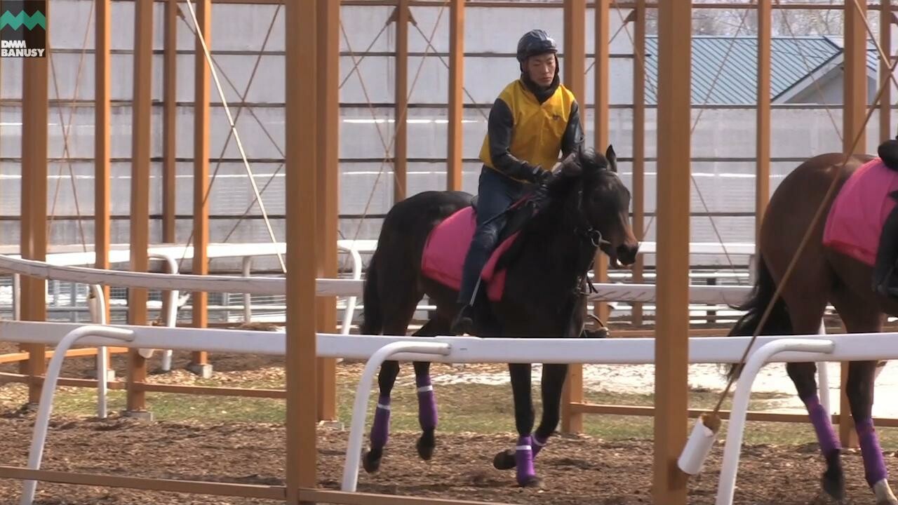 ファイナルドリーム 初めての装蹄