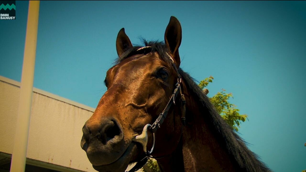 アイスブラスト PV