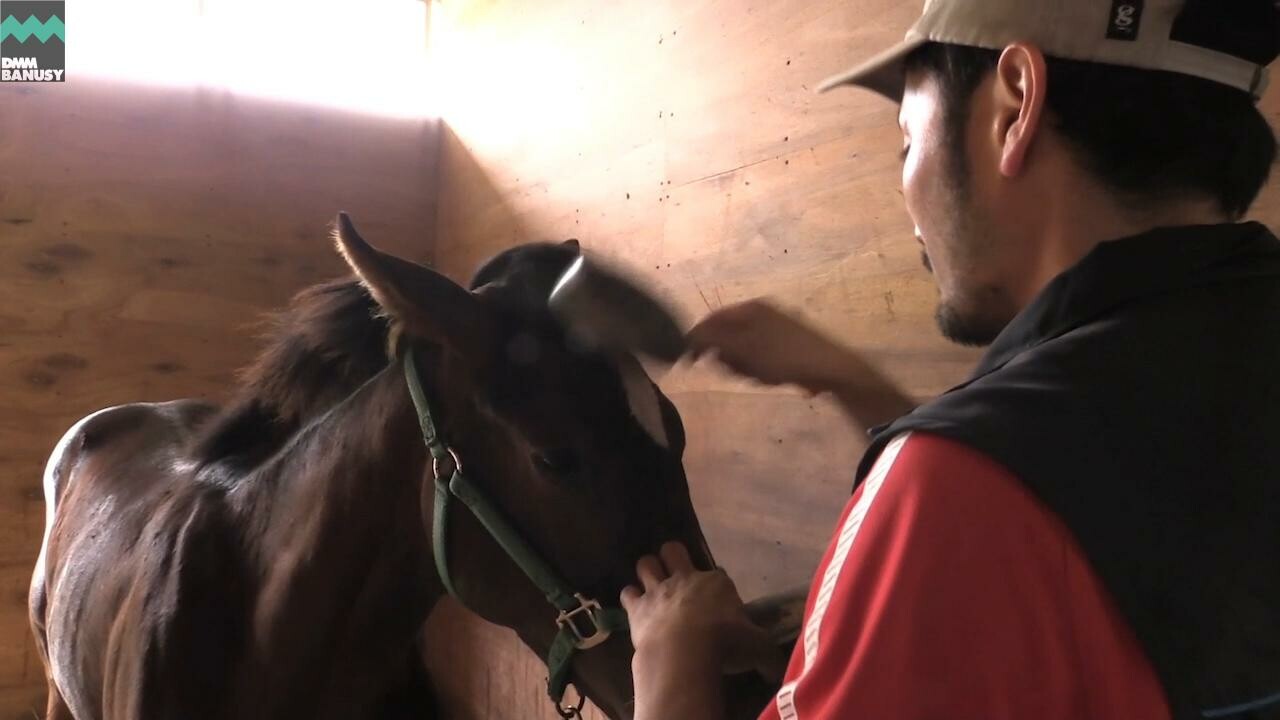 テオファーニア 母馬との別れ