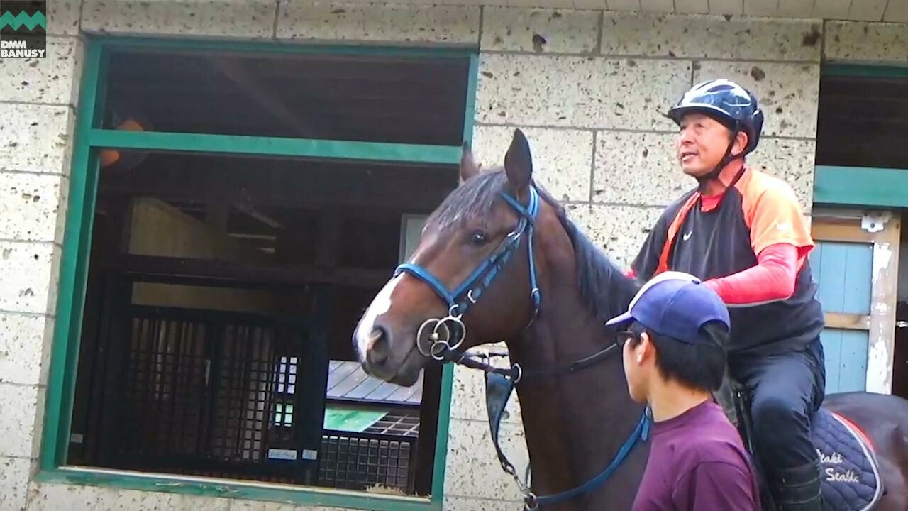 テオファーニア デビューまでの道のり