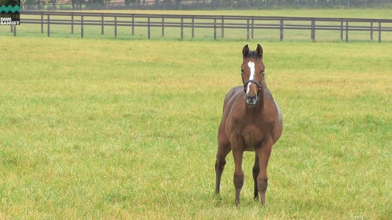 ヴィブラント 離乳後の成長