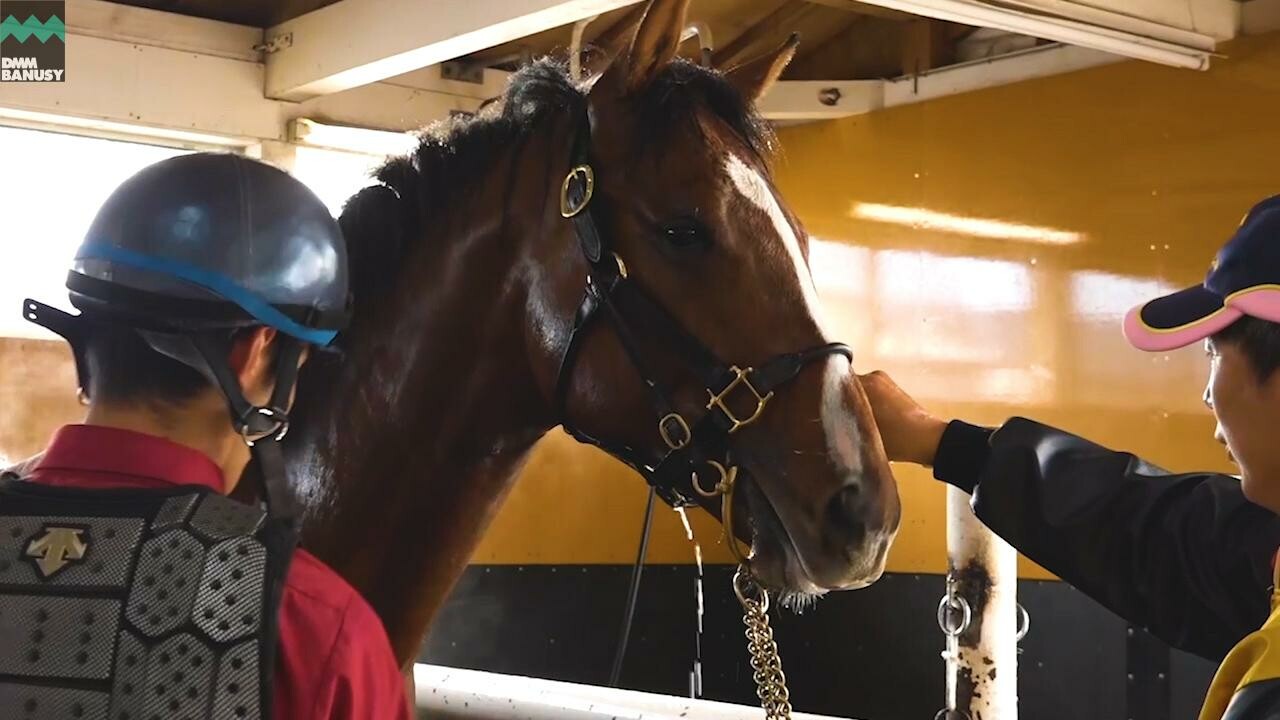 ヴィブラント デビューまでの道のり