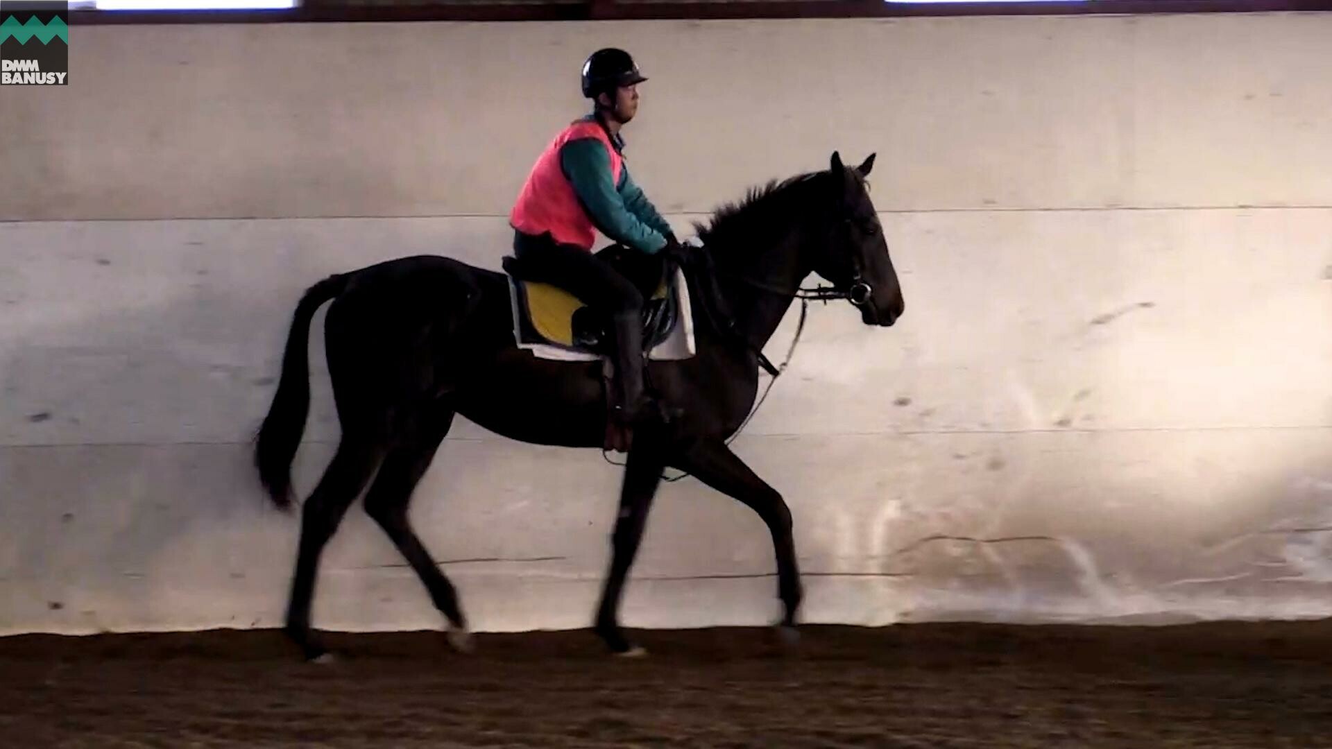 レアンカルナシオン デビューまでの道のり