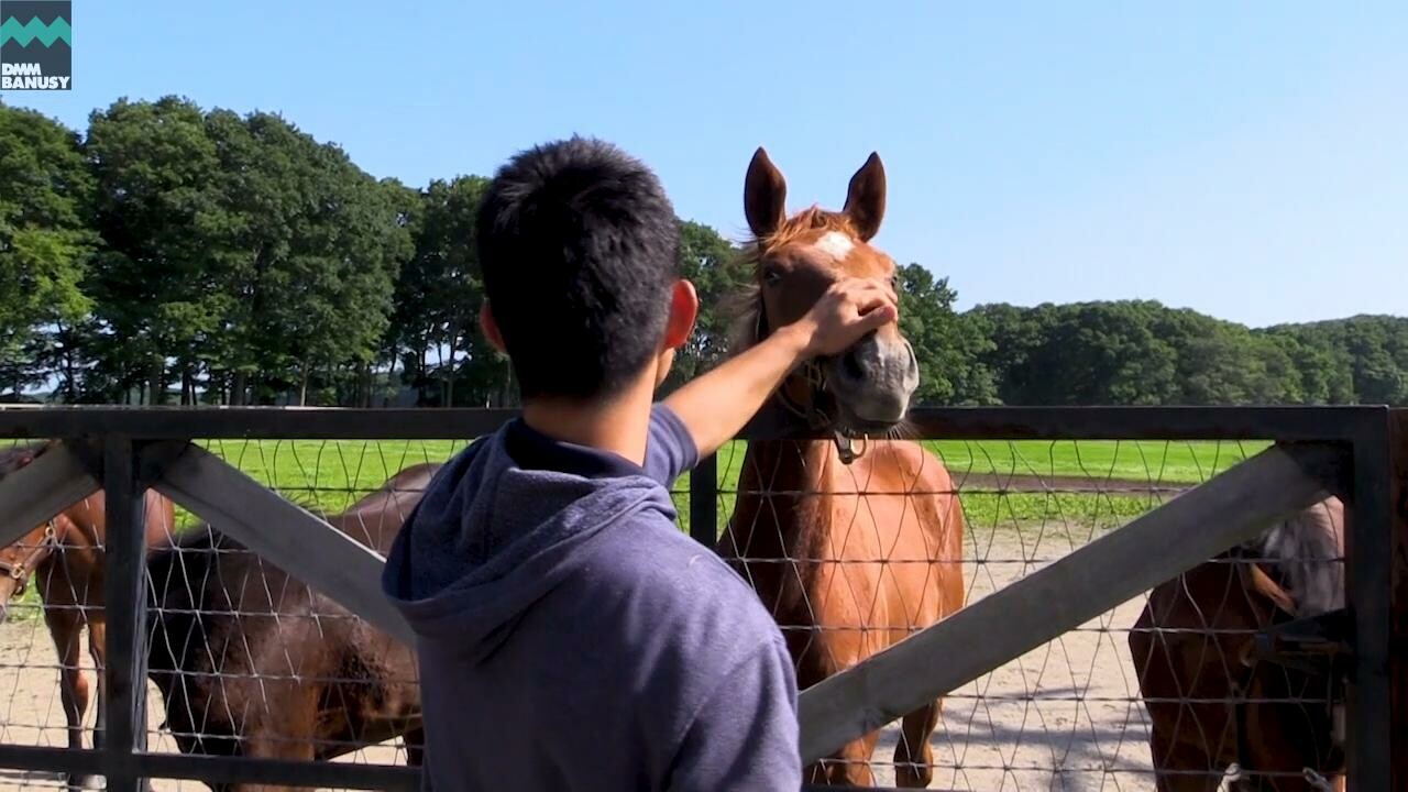 ヴォリーダ PV～母馬との別れ～