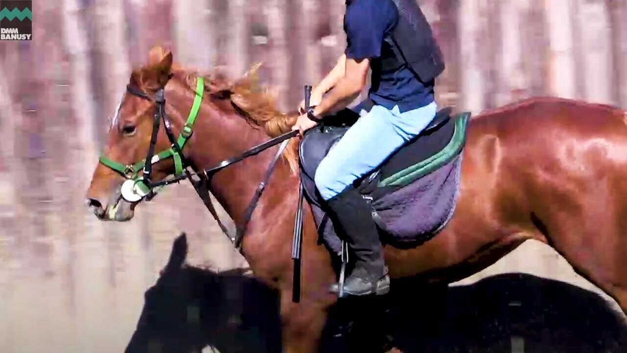 ヴォリーダ PV2019 Vol.2