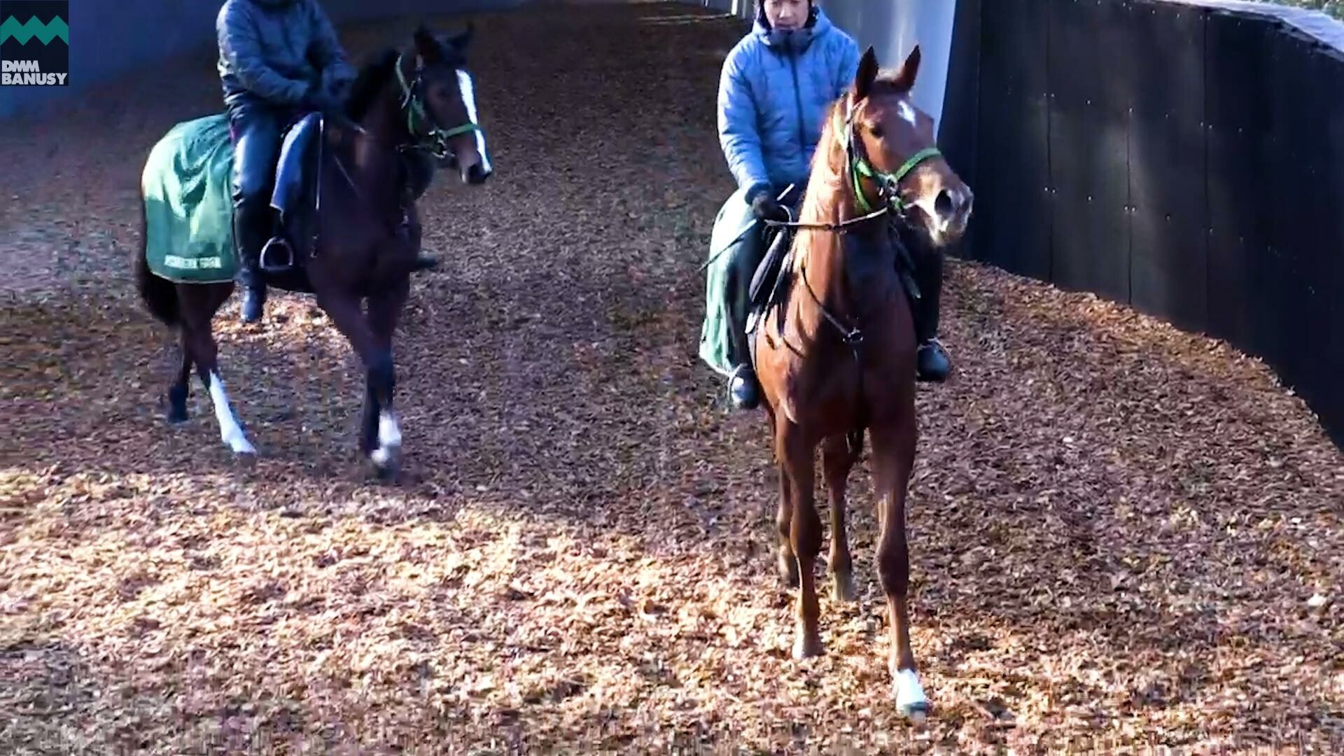ヴォリーダ デビューまでの道のり