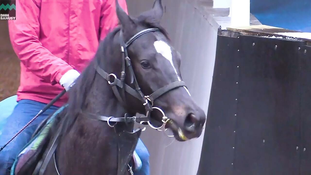 アイワナスマイル PV2019 Vol.2