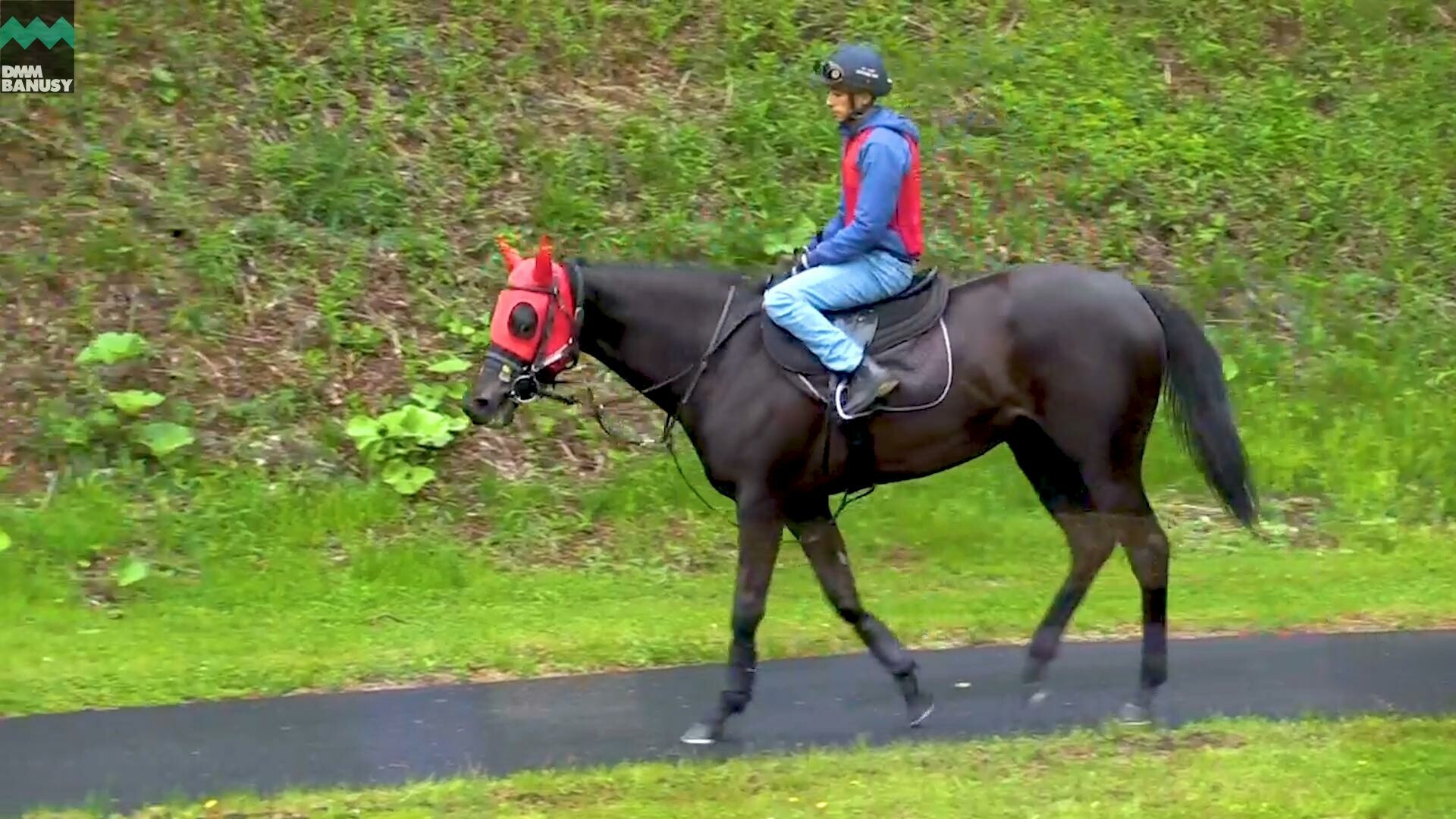 アイワナスマイル デビューまでの道のり