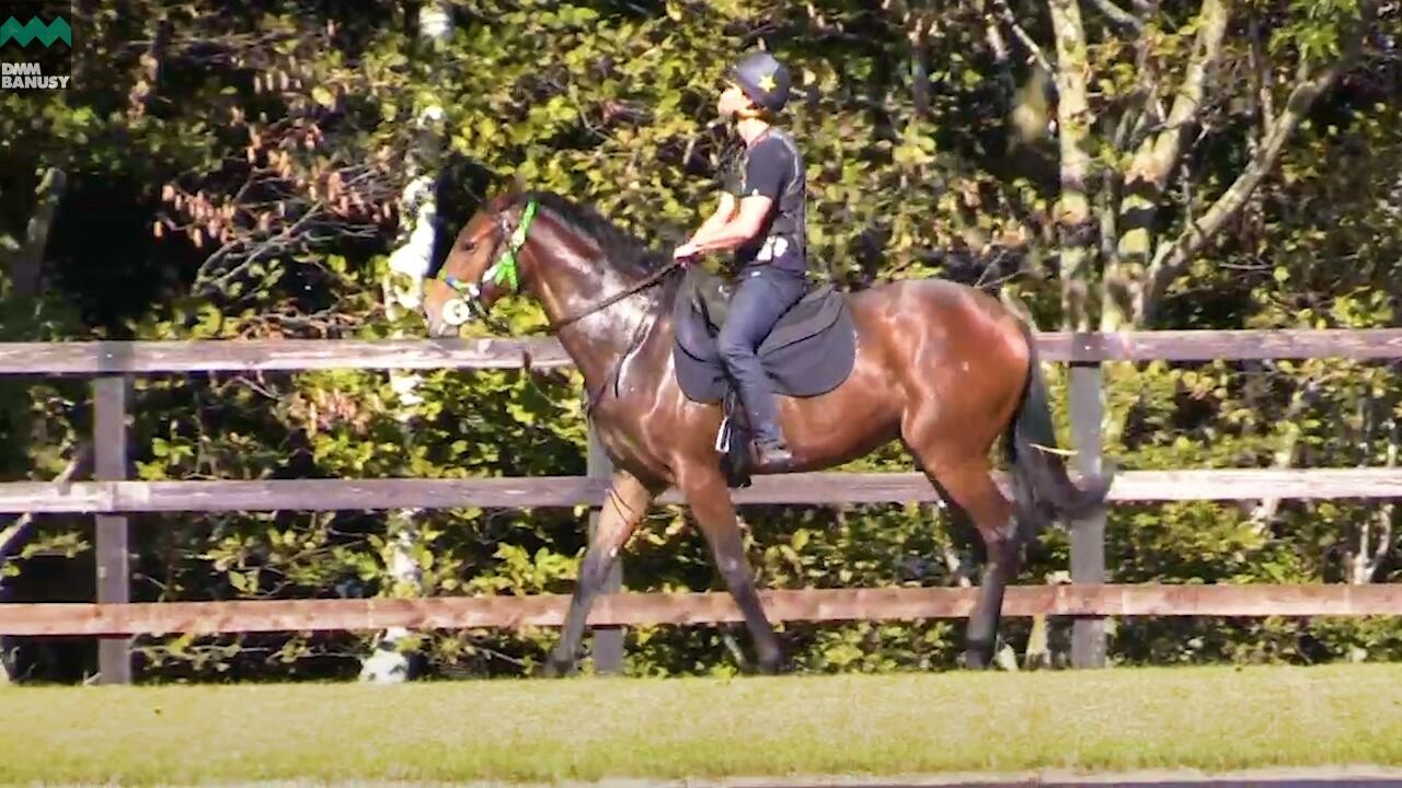 ラヴィエント PV2019 Vol.2