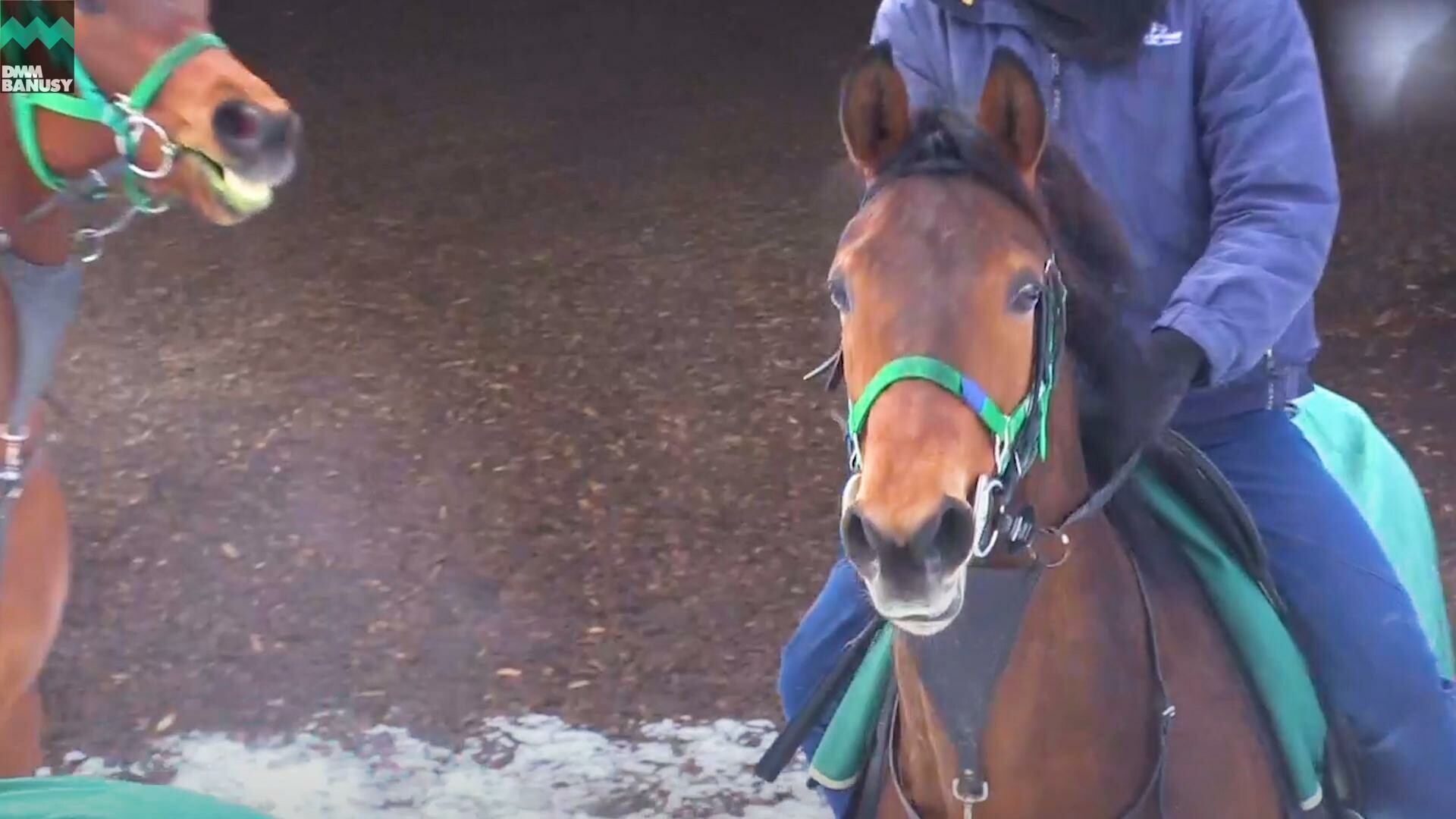 ラヴィエント デビューまでの道のり