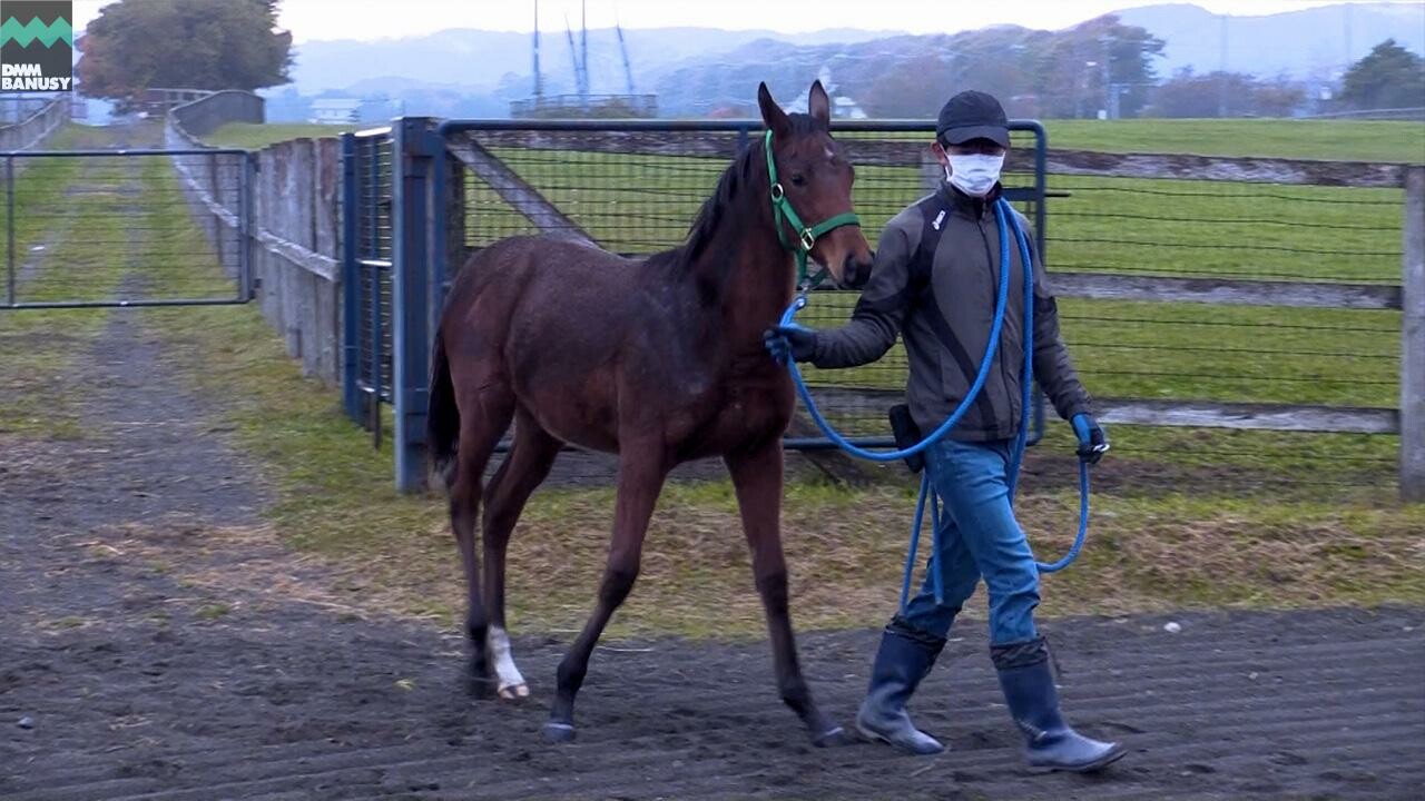 ルナティアーラ2022 PV2023