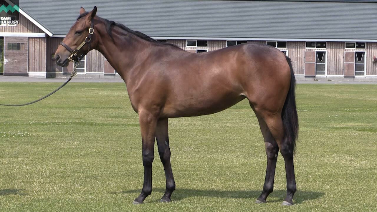 ラヴィエント 2019/7/11撮影：スタッフ 延時さんインタビュー付